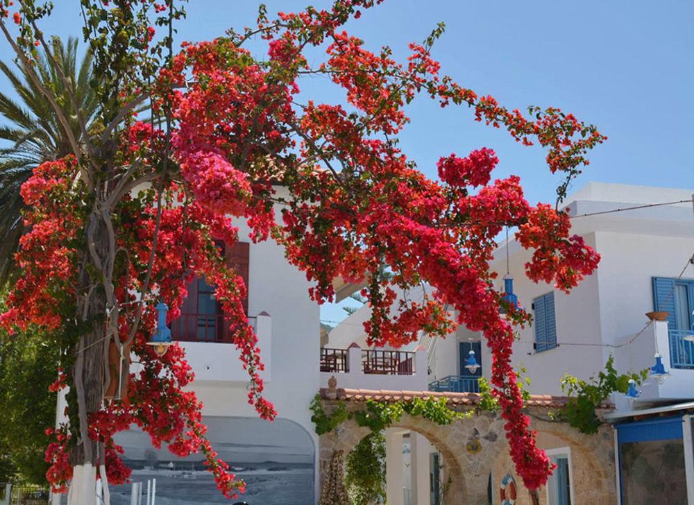 Hotel Saronis Agistri - Adults Only